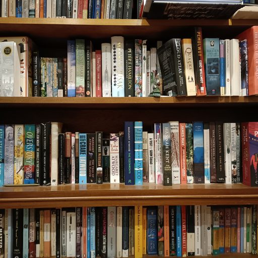 A photo of my actual bookshelf, overflowing and double-stacked