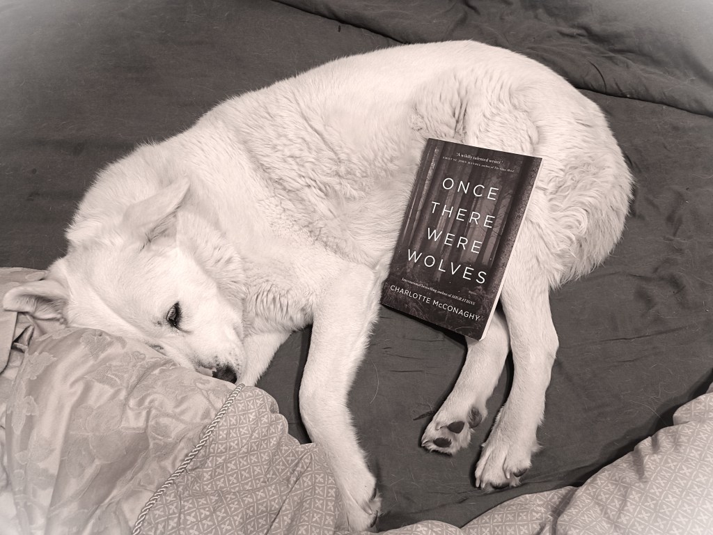 Once There Were Wolves – Charlotte&nbsp;McConaghy